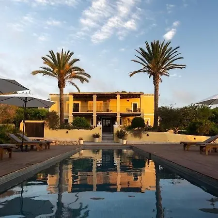 Mariposas Ibiza